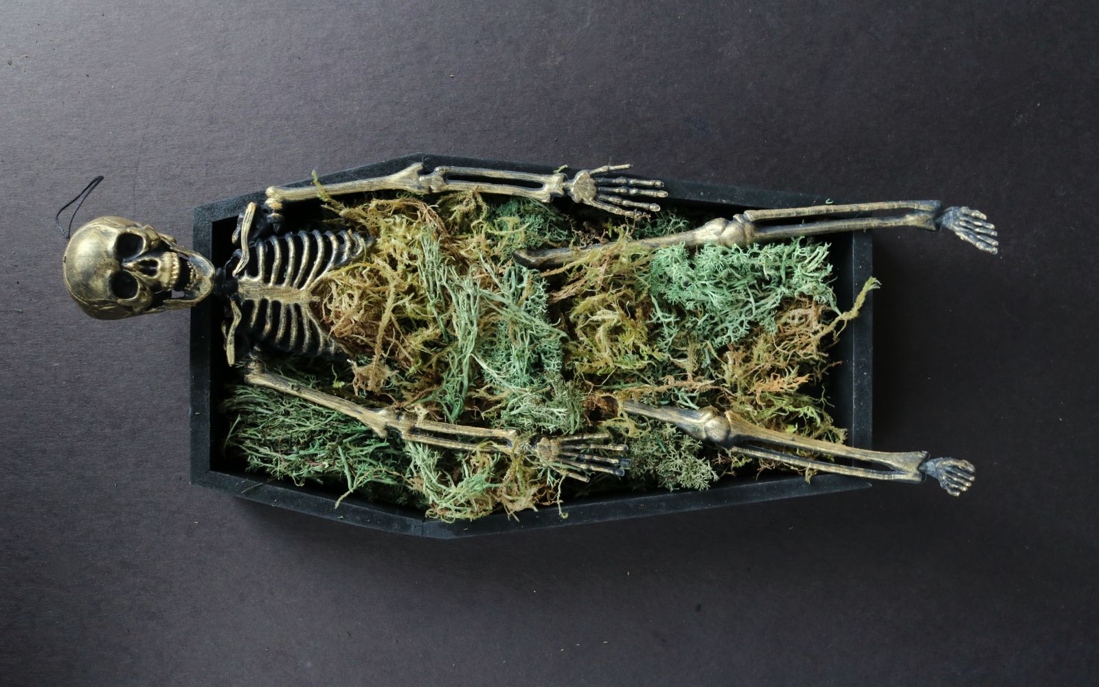 DIY Skeleton Coffin Succulent Planter