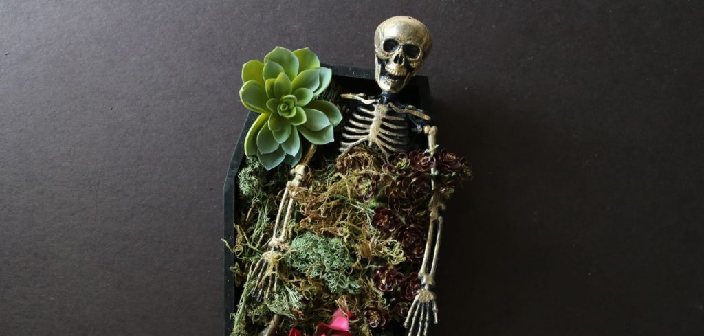 Diy Skull Succulent Pumpkin Centerpiece