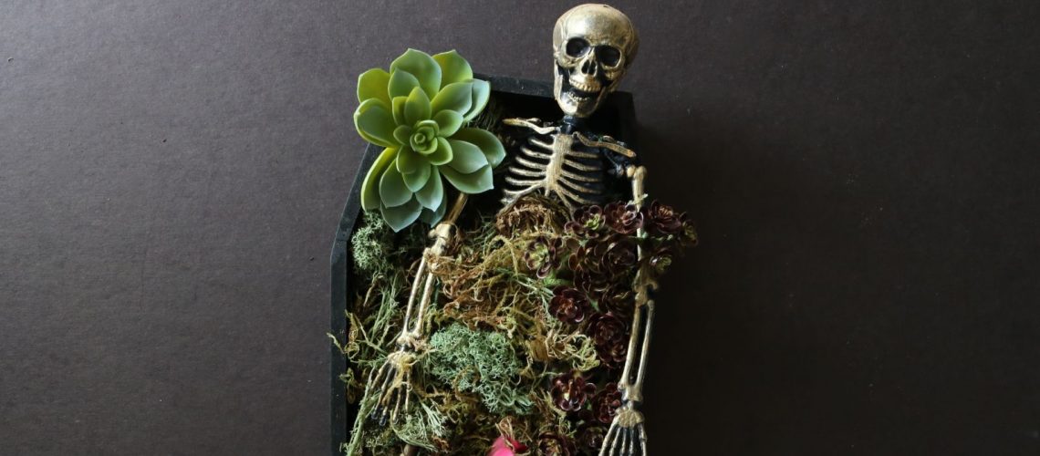 Halloween Diy Coffin Succulent Planter Wild Amor