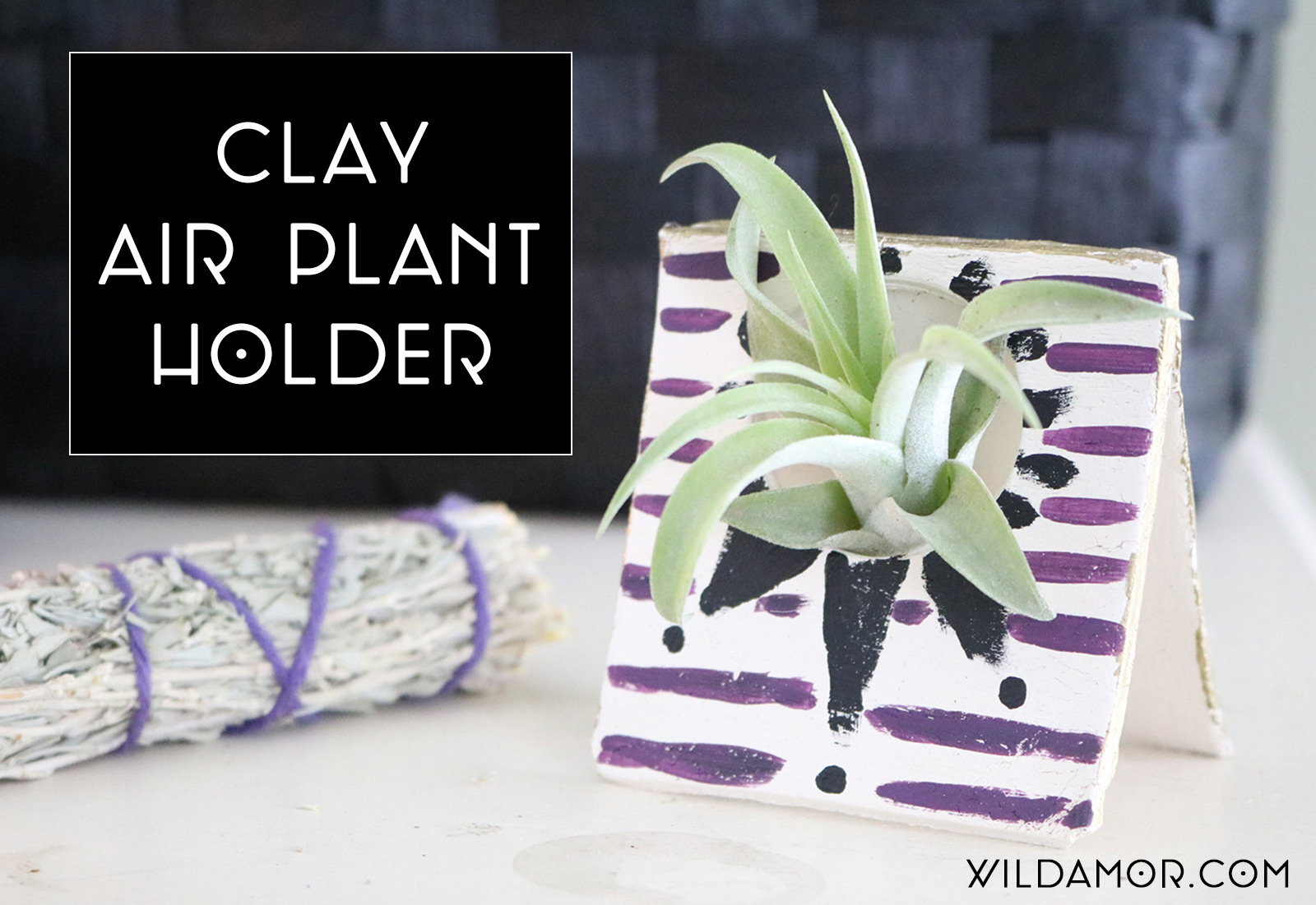 Clay Air Plant Holder DIY