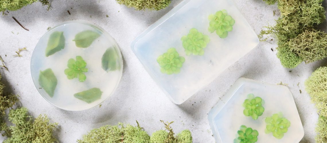 DIY Soap Bars with Succulents