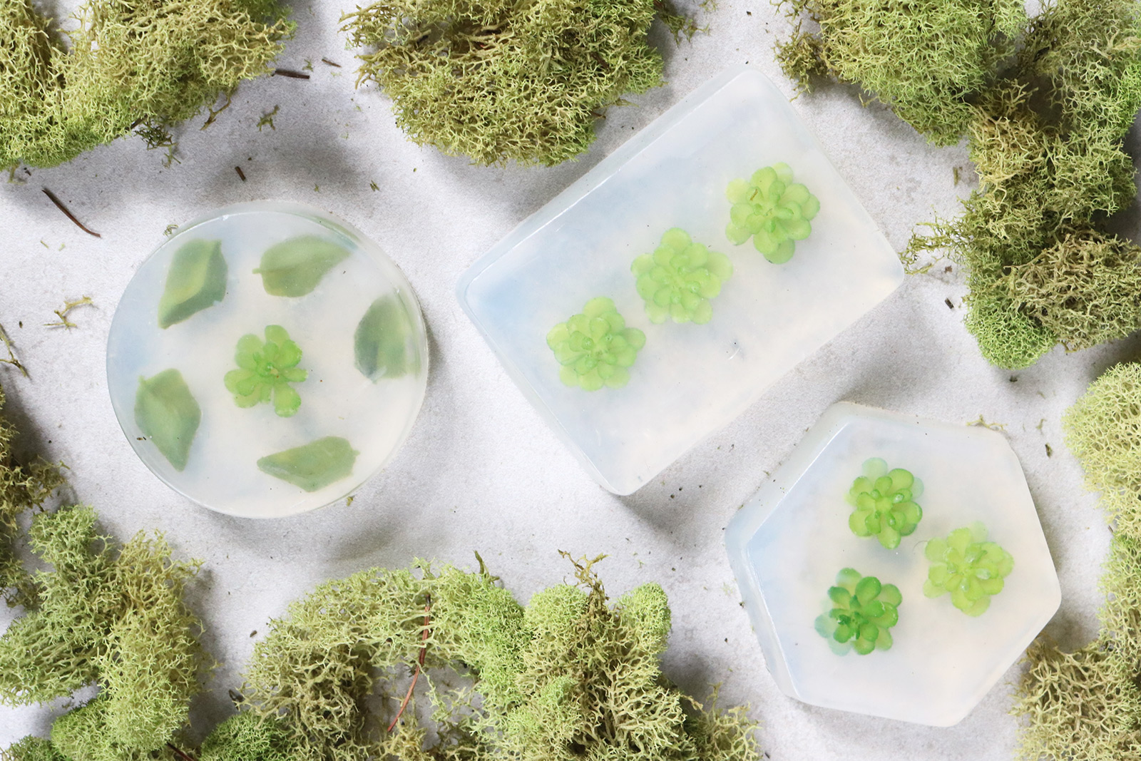 DIY Soap Bars with Succulents
