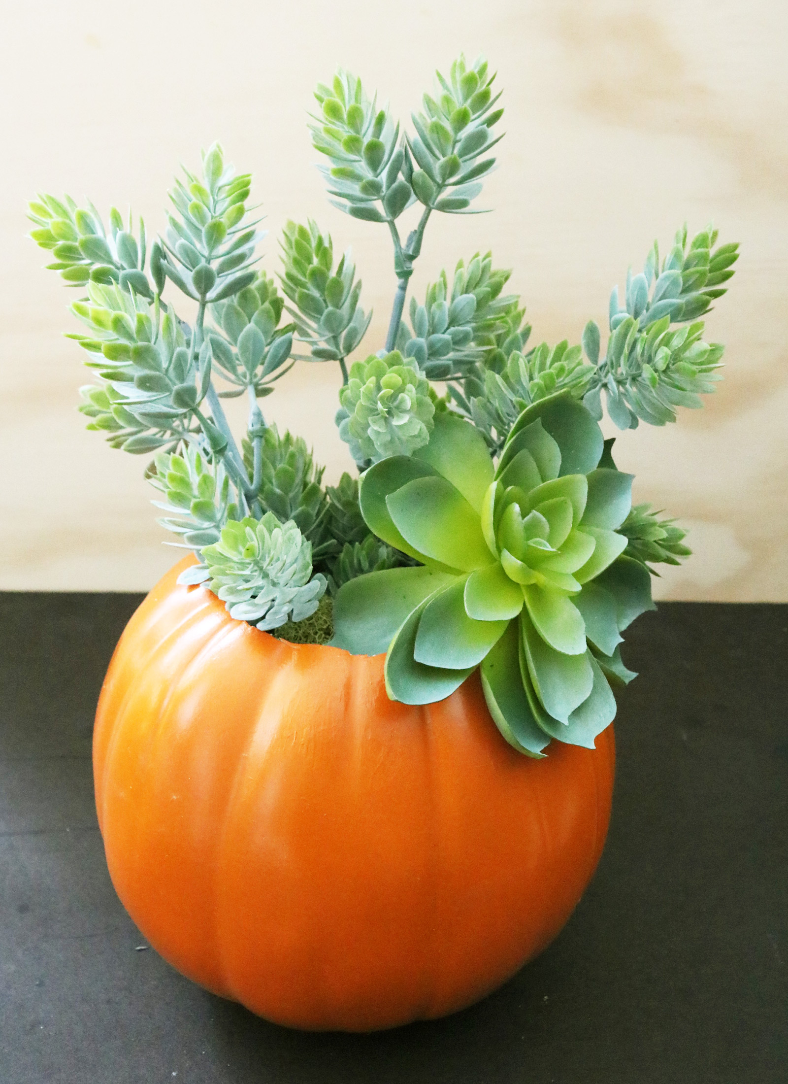 DIY Skull and Succulent Pumpkin Centerpiece