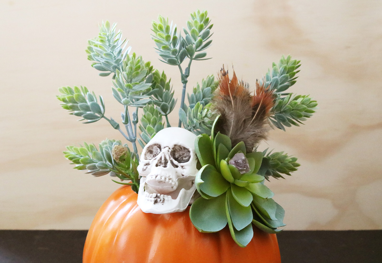 DIY Skull and Succulent Pumpkin Centerpiece