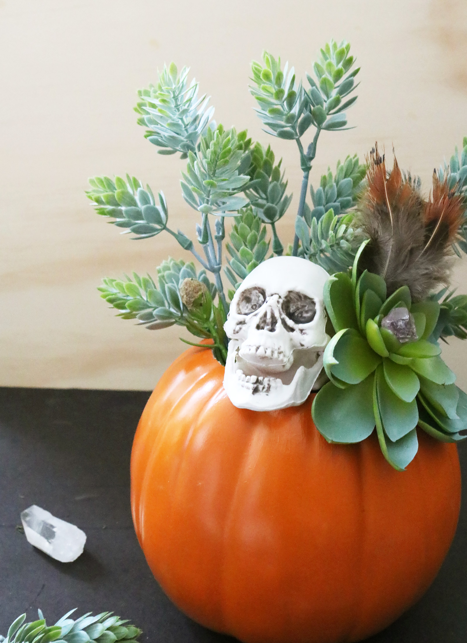 DIY Skull and Succulent Pumpkin Centerpiece