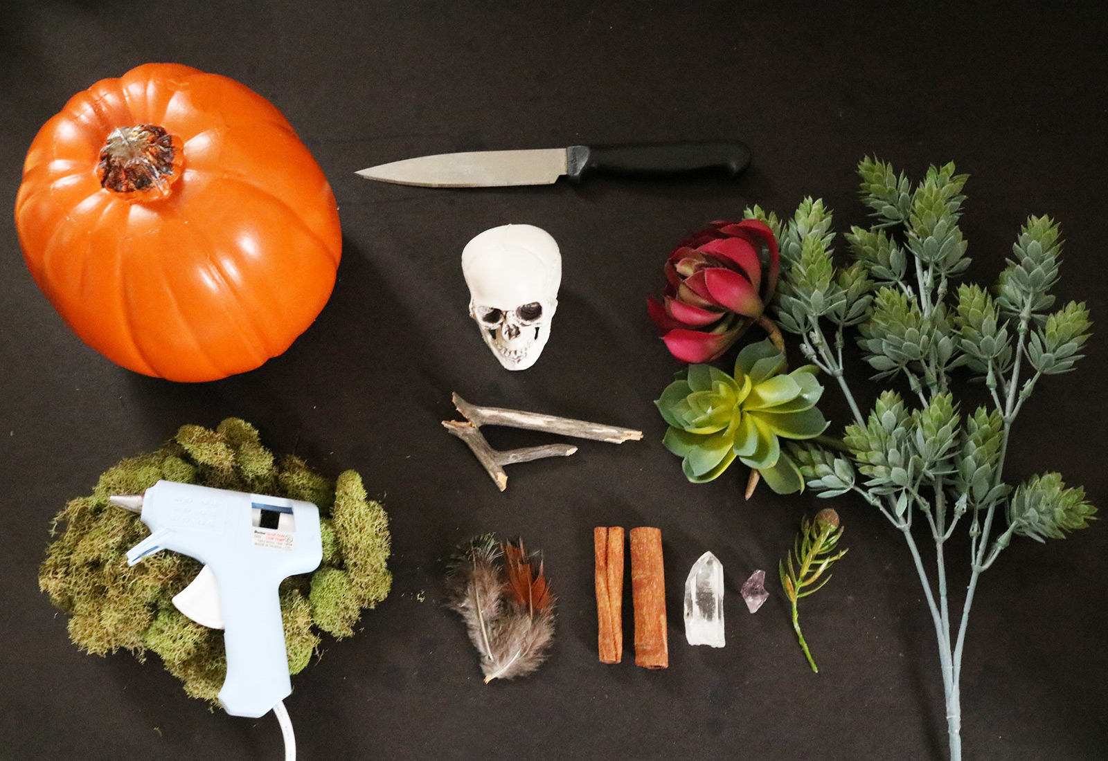 DIY Skull and Succulent Pumpkin Centerpiece