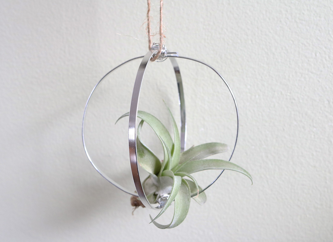 Orb Air Plant Holder DIY