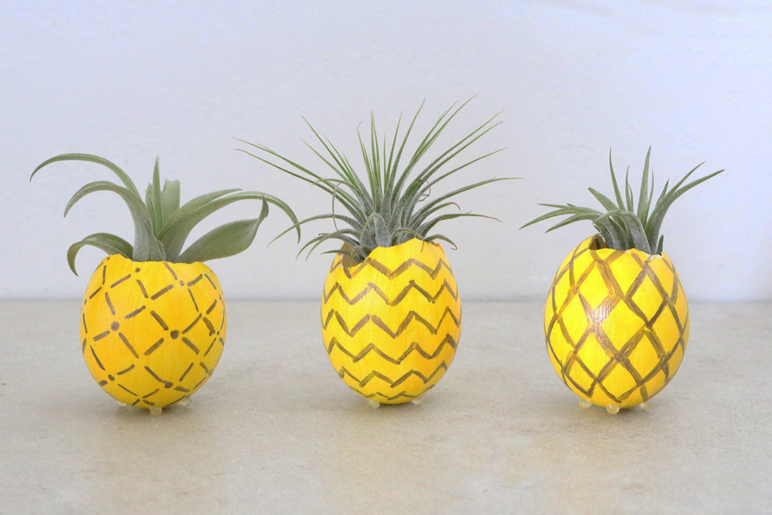 Pineapple Air Plant Holders