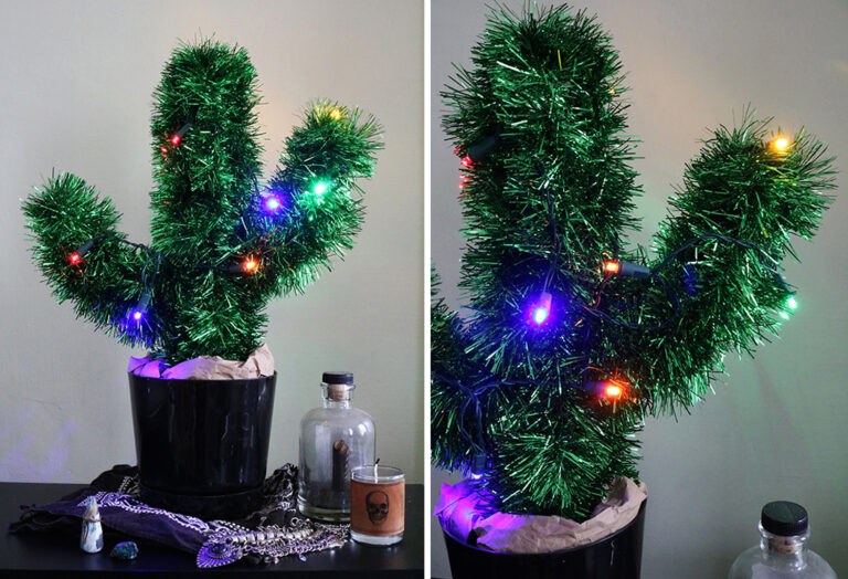 DIY Christmas Cactus
